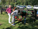 werse sommerfest 2024